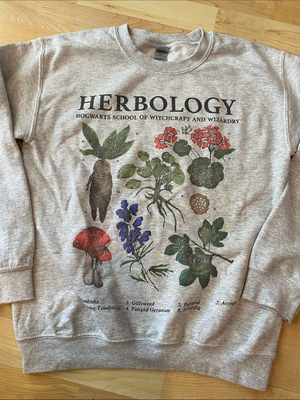 Hogwarts Herbology Crewneck Sweatshirt - Light Gray